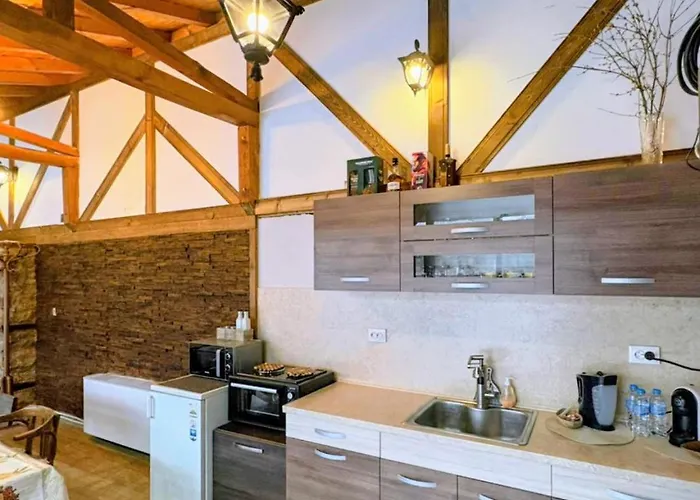 за гости царвулджиеви Kopriwsztica