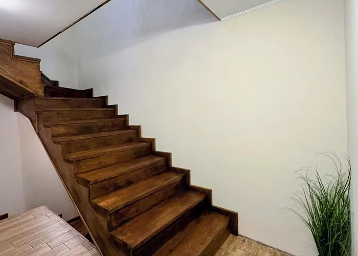 за гости царвулджиеви